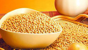 Textured soy protein application in food process industry